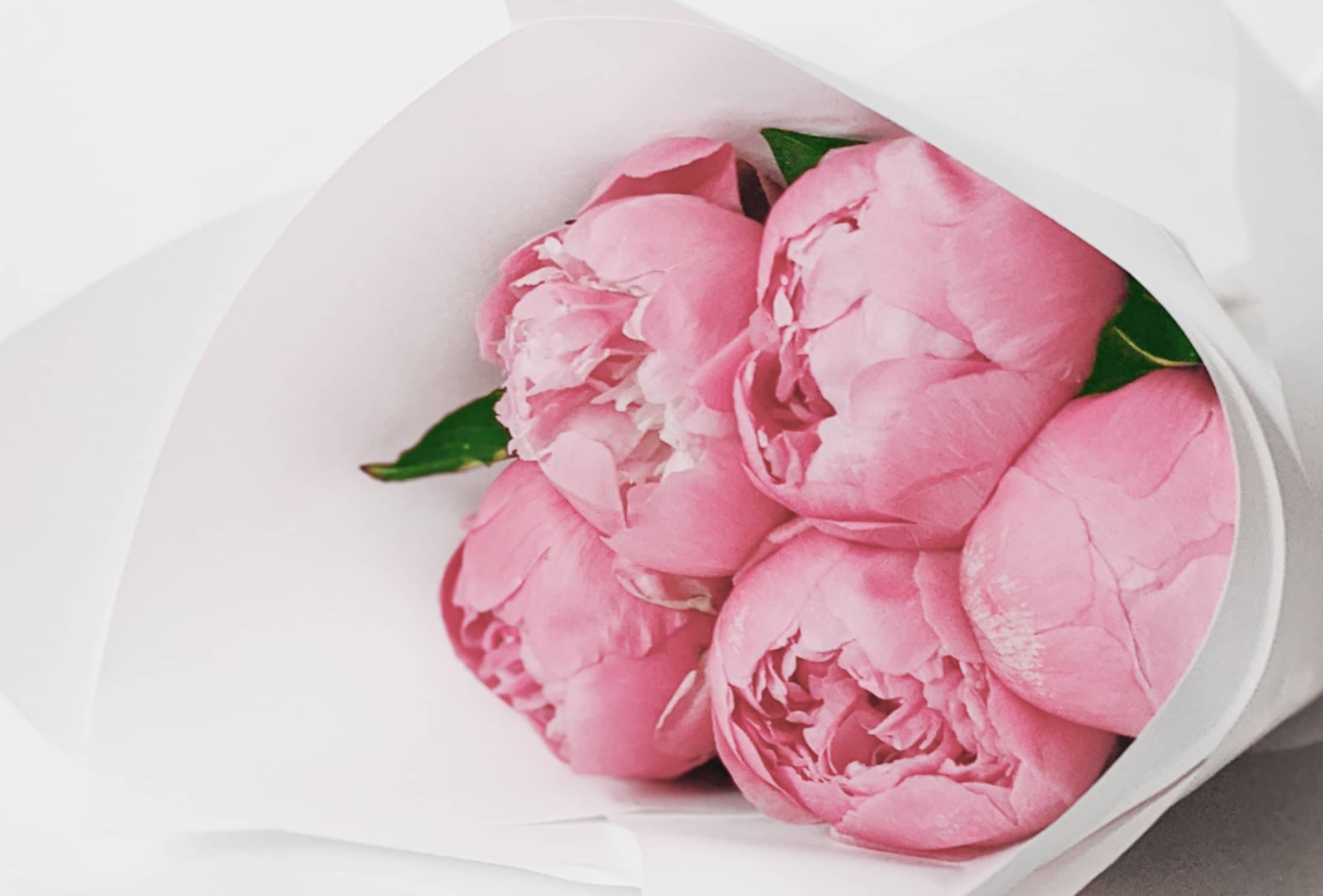 The 10 most expensive flowers on the planet as of 2023 - image