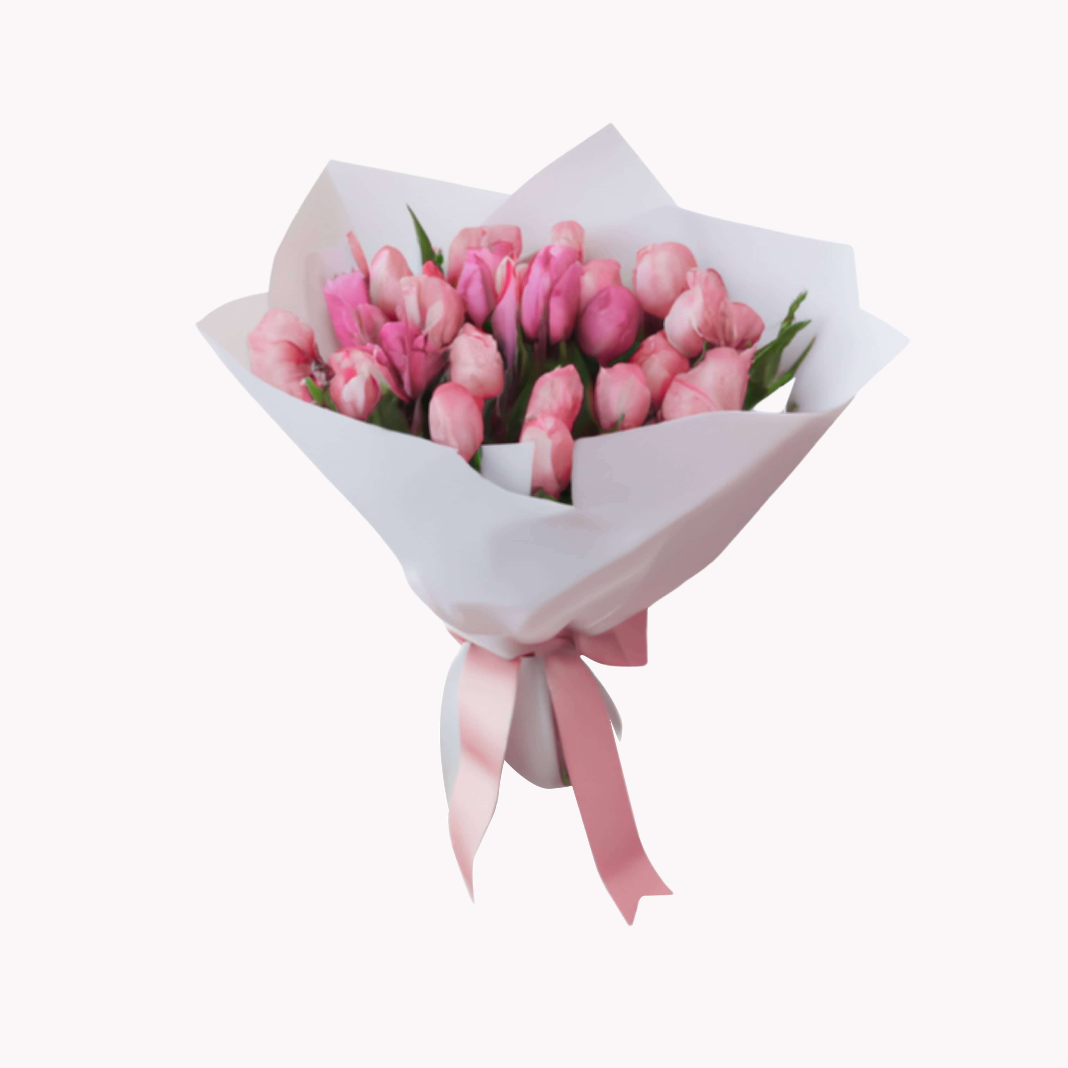 Dozen of Tulips -image